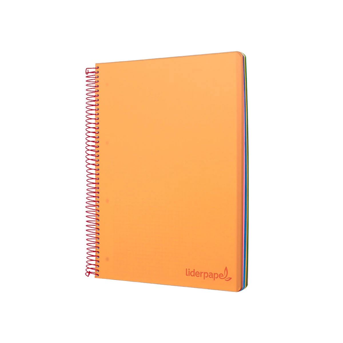 Galery – Caderno espiral liderpapel din a4 wonder capa plastico 120 f 90 gr quadricula 5 mm 5 bandas de cores 4 furos laranja0