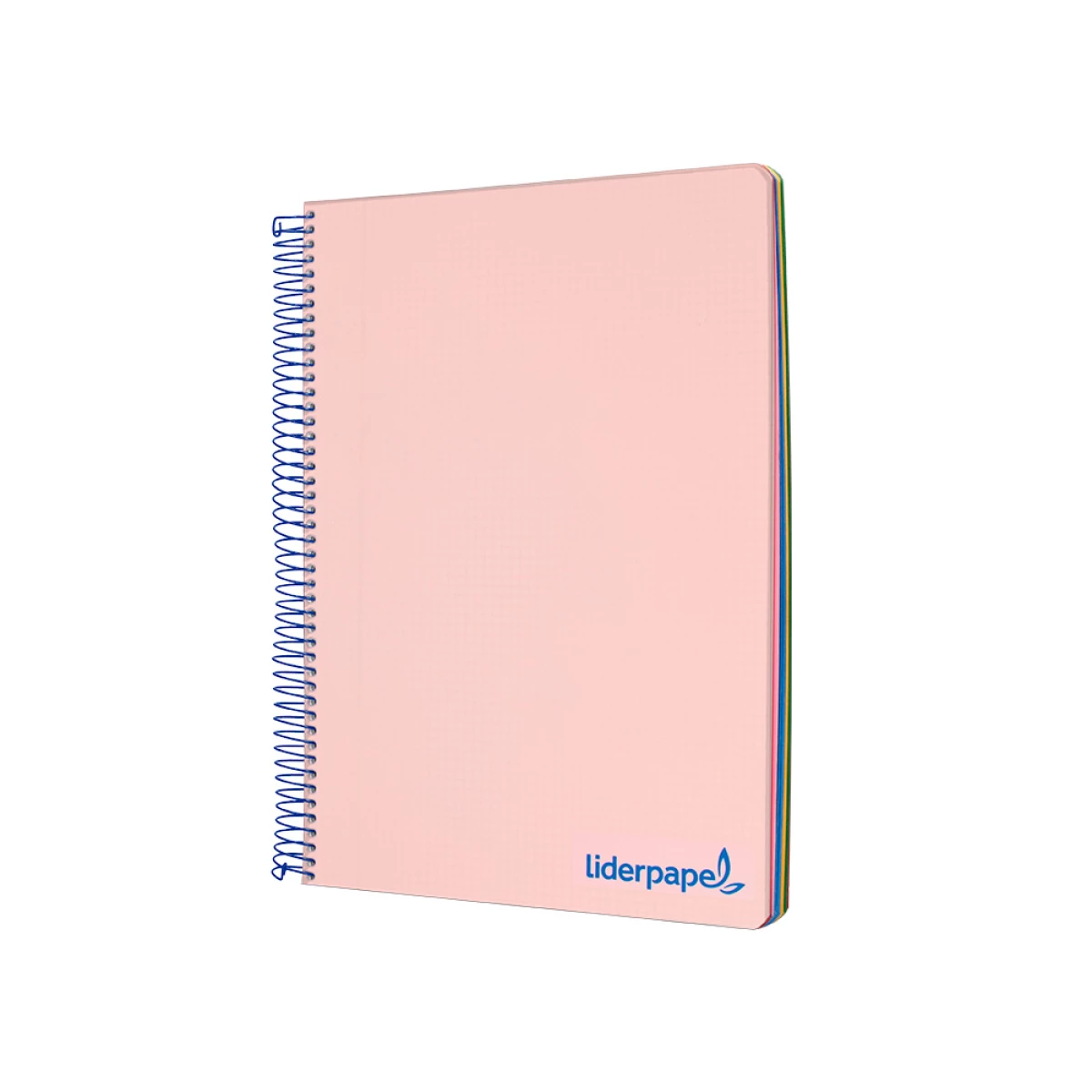 Galery – Caderno espiral liderpapel din a4 wonder capa plastico 120 f 90 gr quadricula 5 mm 5 bandas de cores 4 furos rosa0