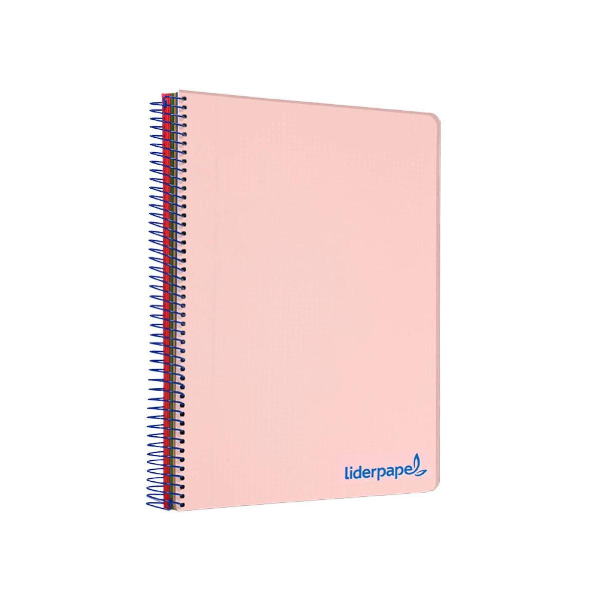 Galery – Caderno espiral liderpapel din a4 wonder capa plastico 120 f 90 gr quadricula 5 mm 5 bandas de cores 4 furos rosa0