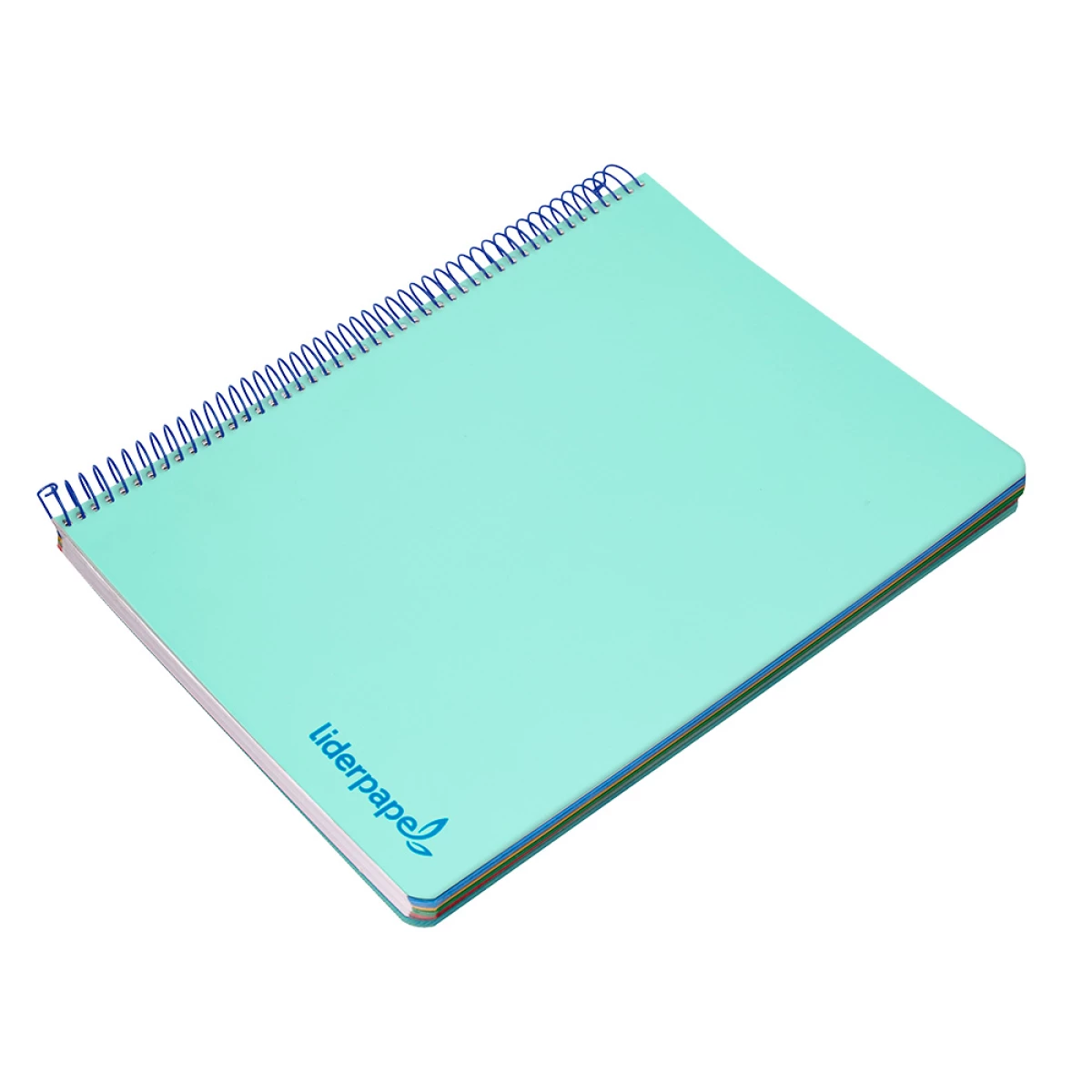 Galery – Caderno espiral liderpapel din a4 wonder capa plastico 120 f 90 gr quadricula 5 mm 5 bandas de cores 4 furos verde0