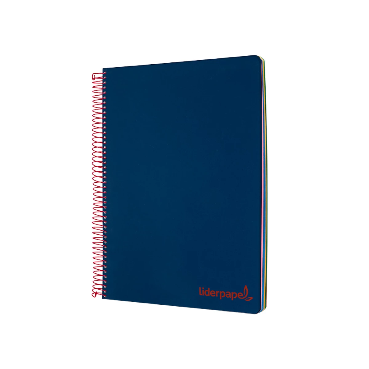 Galery – Caderno espiral liderpapel din a4 wonder capa plastico 120 f 90 gr quadricula 5 mm 5 bandas de cores 4 furos azul marinh0