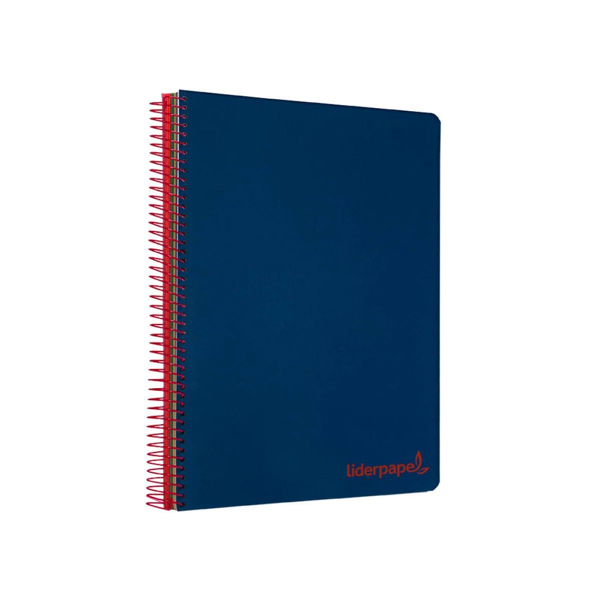 Galery – Caderno espiral liderpapel din a4 wonder capa plastico 120 f 90 gr quadricula 5 mm 5 bandas de cores 4 furos azul marinh0