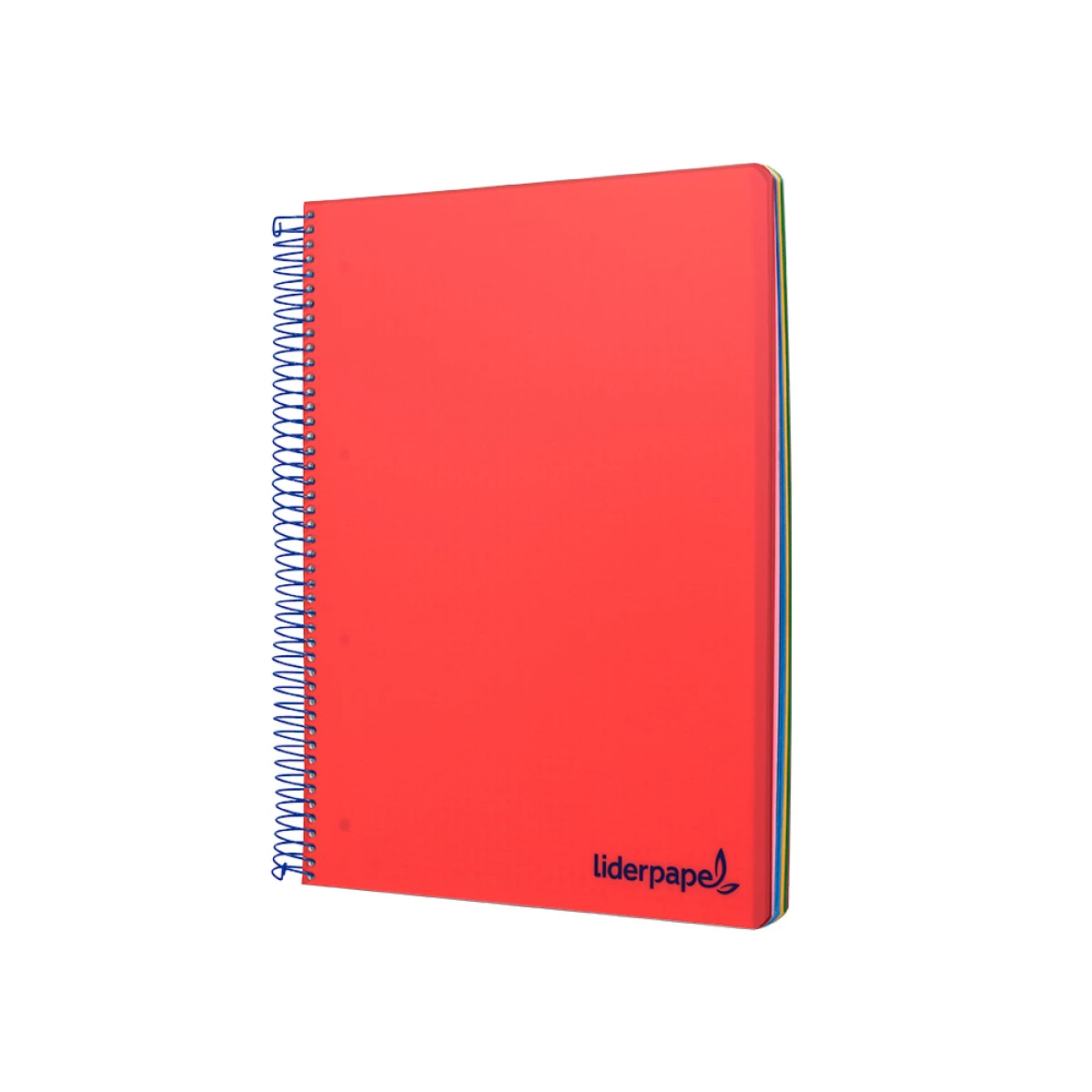 Galery – Caderno espiral liderpapel din a4 wonder capa plastico 120 f 90 gr quadricula 5 mm 5 bandas de cores 4 furos vermelho0