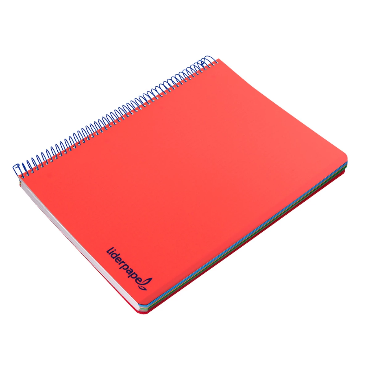 Galery – Caderno espiral liderpapel din a4 wonder capa plastico 120 f 90 gr quadricula 5 mm 5 bandas de cores 4 furos vermelho0