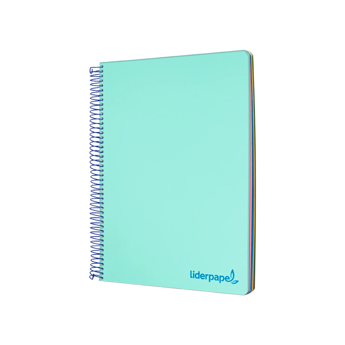 Galery – Caderno espiral liderpapel din a5 wonder capa plastico 120 f 90 gr quadricula 5mm 5 bandas de cores 6 furos verde0