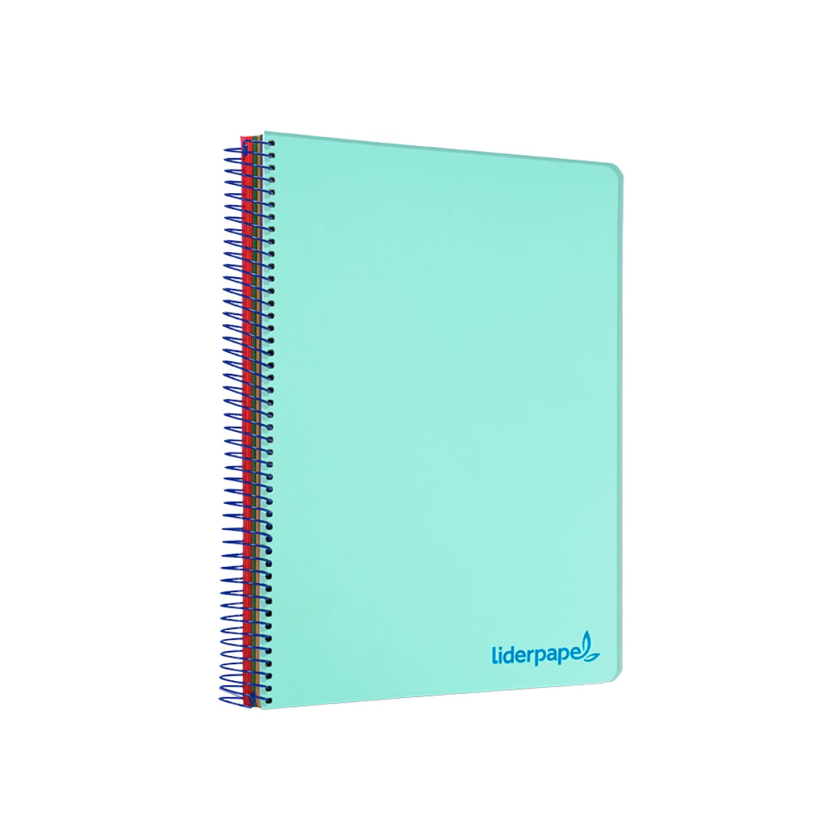 Galery – Caderno espiral liderpapel din a5 wonder capa plastico 120 f 90 gr quadricula 5mm 5 bandas de cores 6 furos verde0