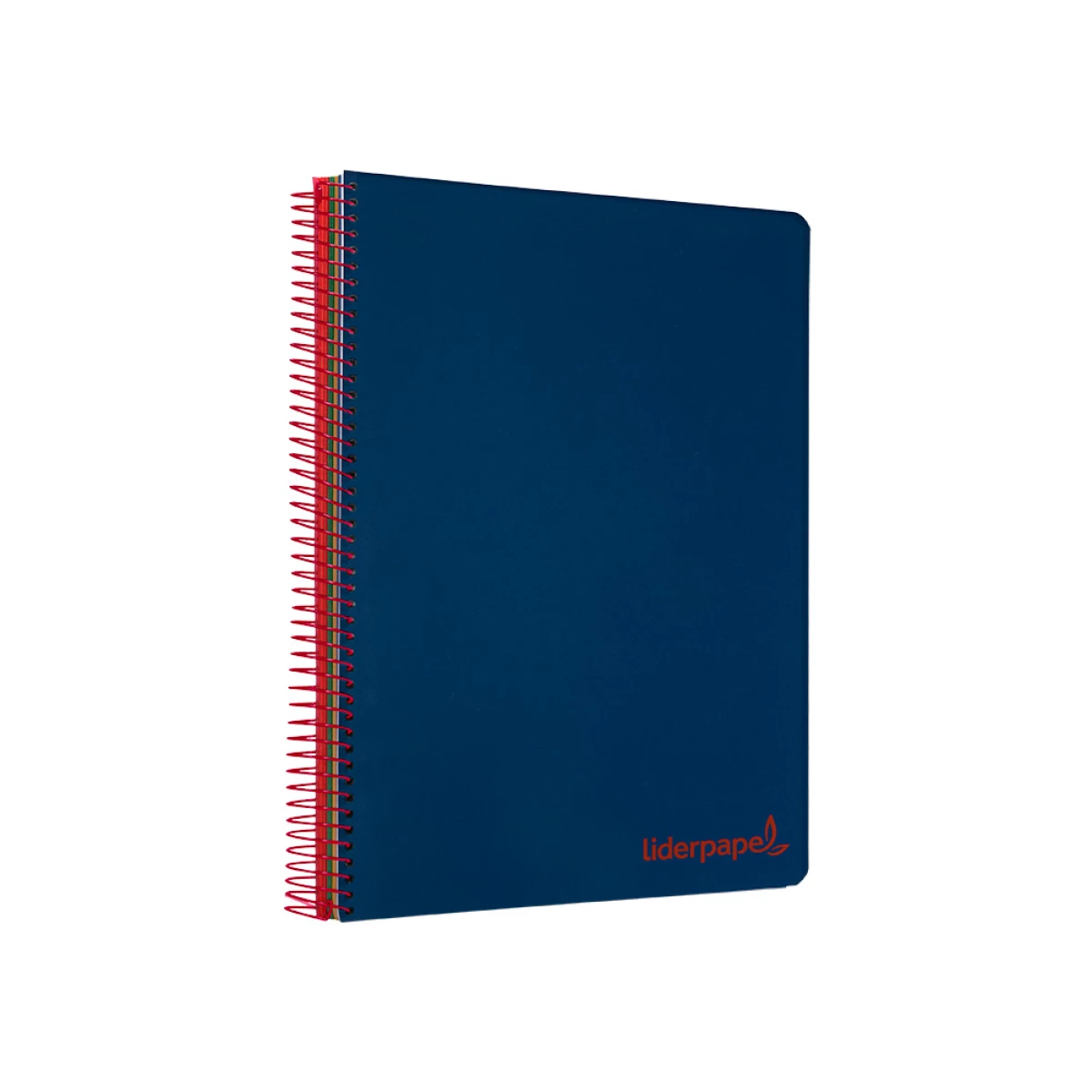 Galery – Caderno espiral liderpapel din a5 wonder capa plastico 120 f 90 gr quadricula 5mm 5 bandas de cores 6 furos azul marinho0