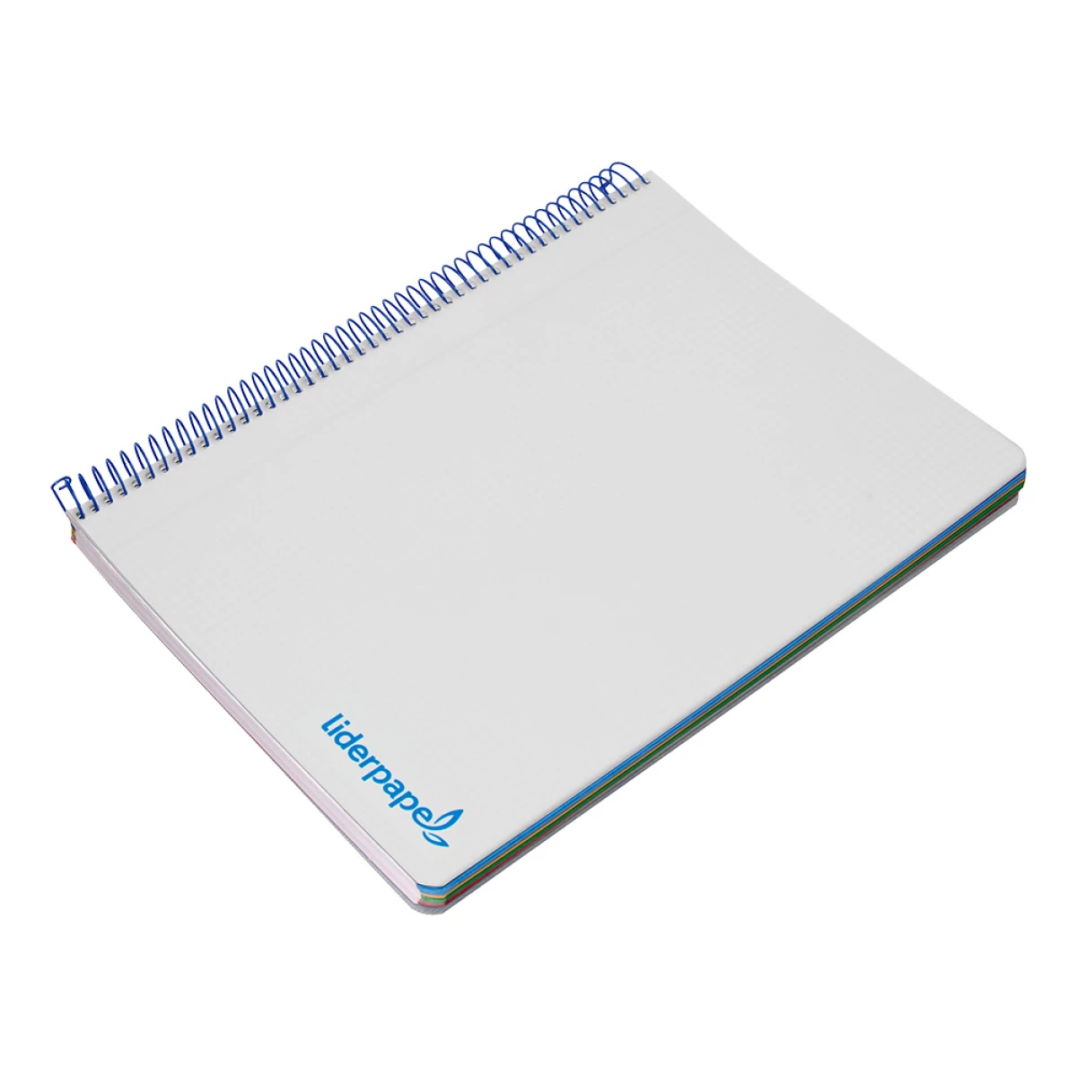 Galery – Caderno espiral liderpapel din a5 wonder capa plastico 120 f 90 gr quadricula 5mm 5 bandas de cores 6 furos turquesa0