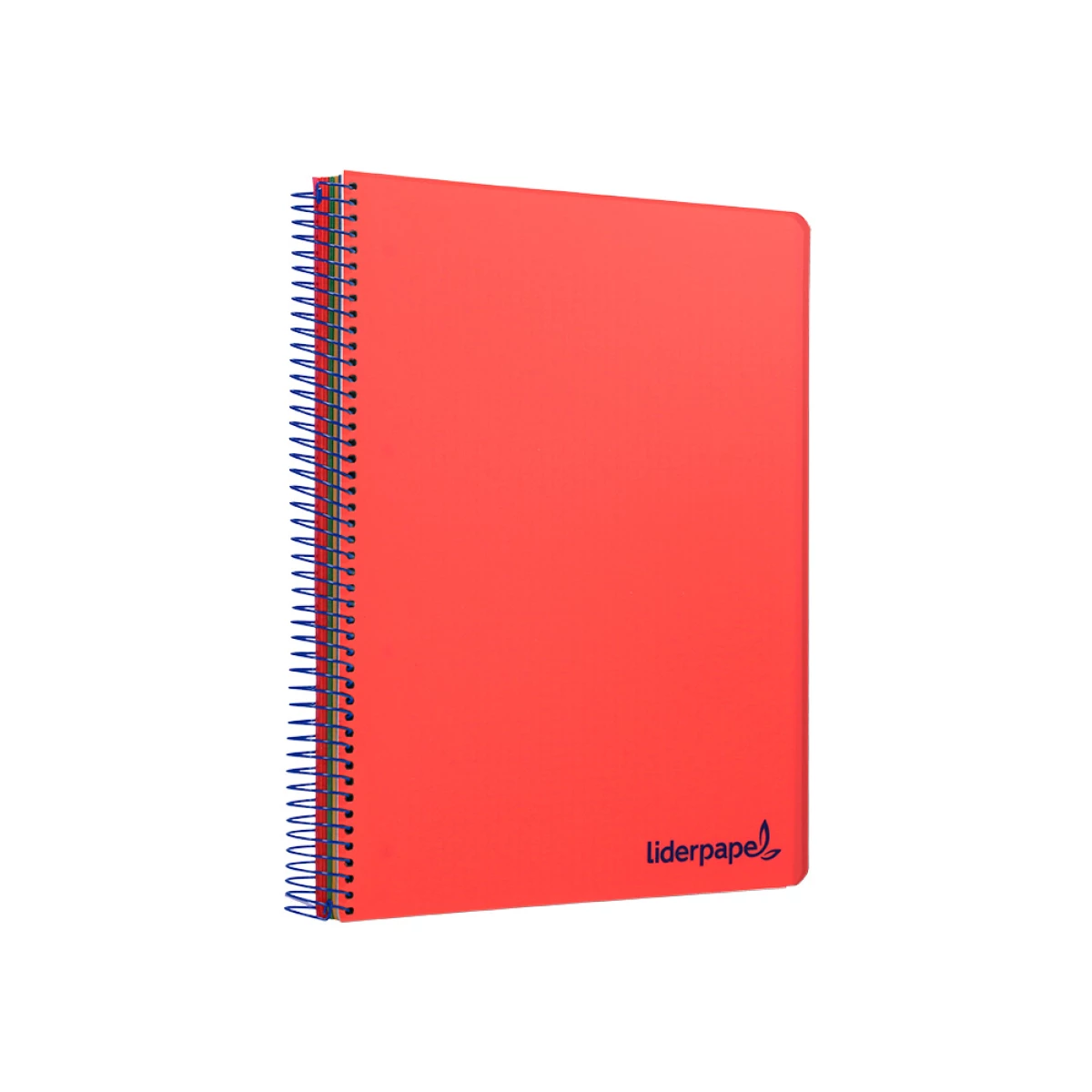 Galery – Caderno espiral liderpapel din a5 wonder capa plastico 120 f 90 gr quadricula 5mm 5 bandas de cores 6 furos vermelho0