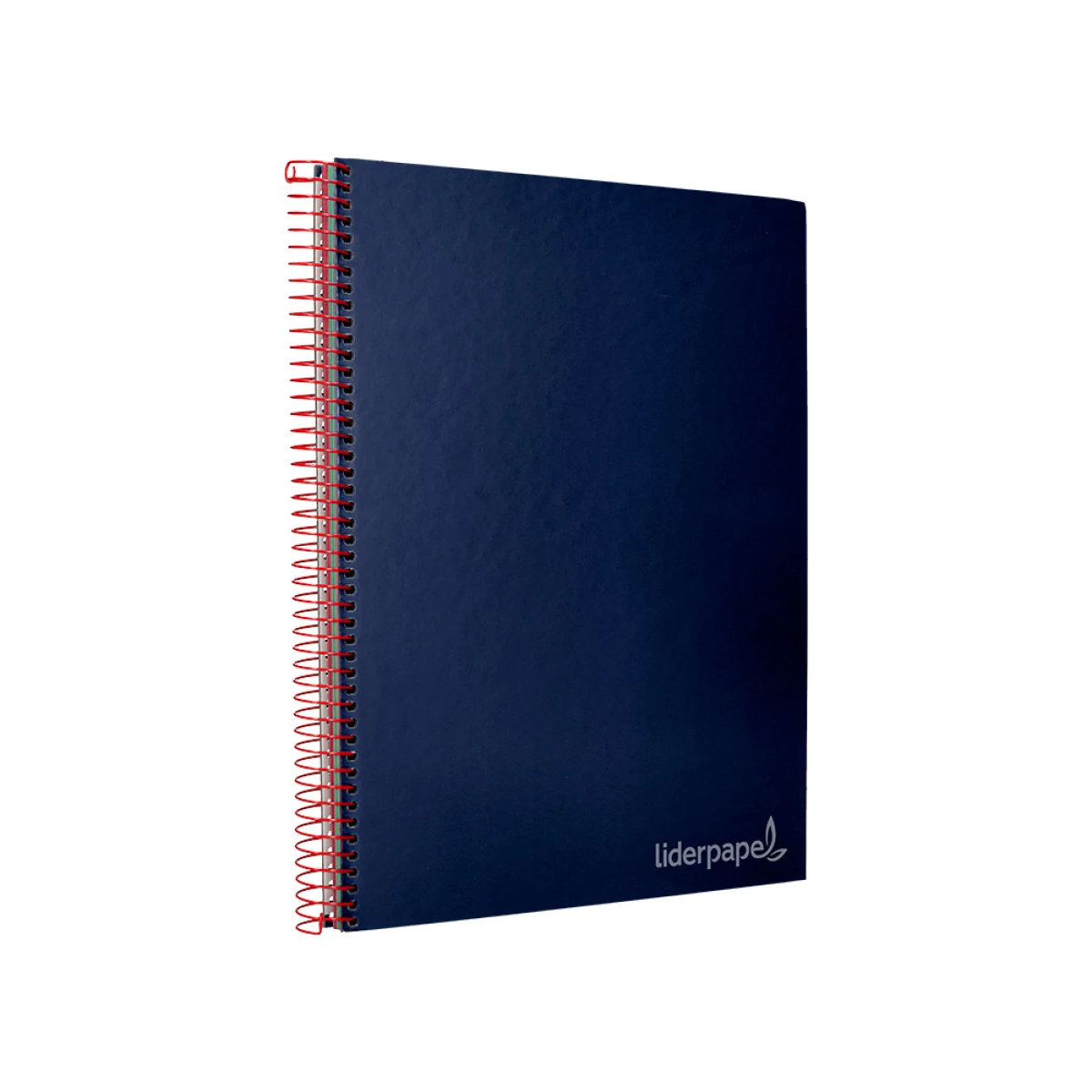 Galery – Caderno espiral liderpapel din a4 jolly capa forrada 140 f 75 gr quadricula 5mm 5 bandas de cores 4 furos cor azul0