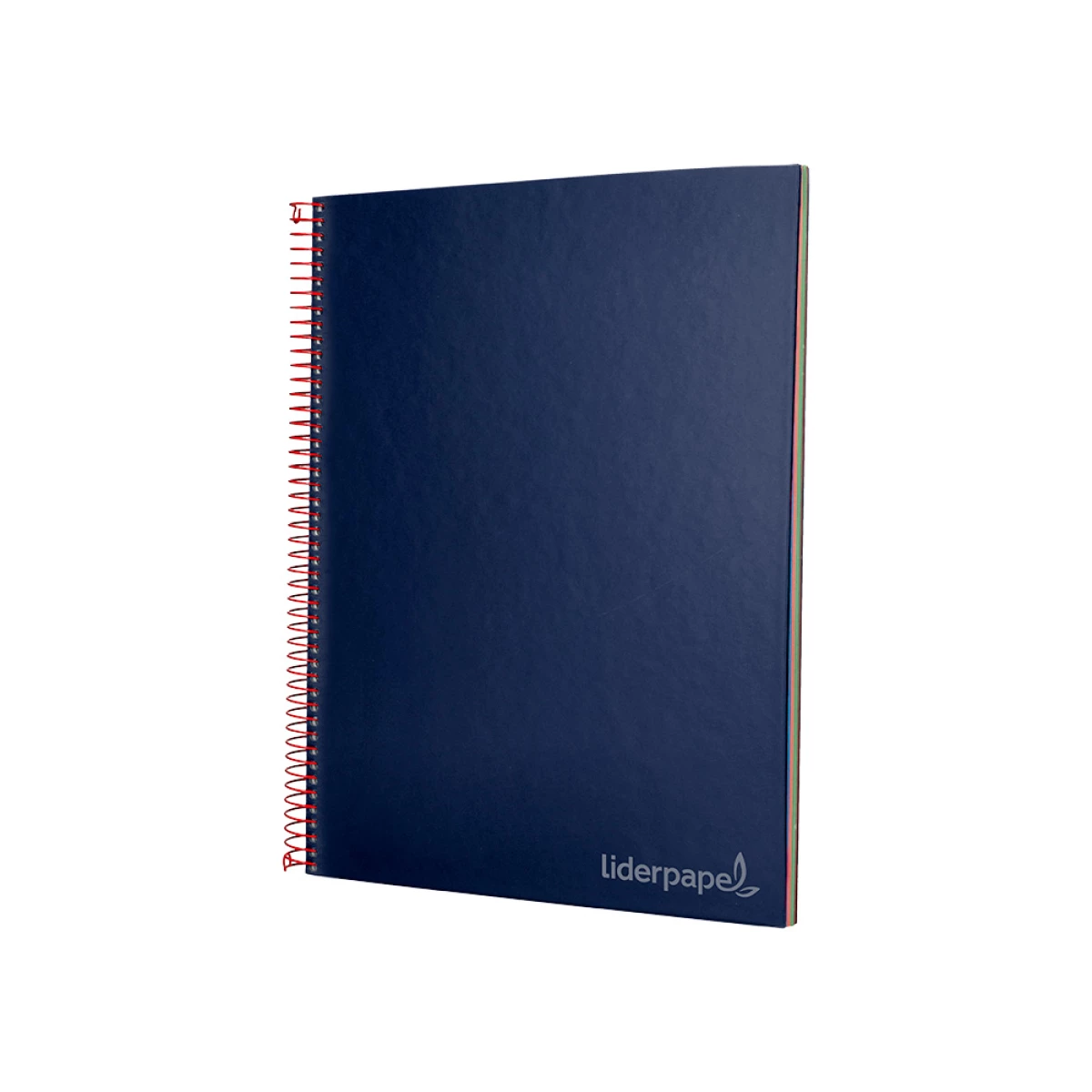 Galery – Caderno espiral liderpapel din a4 jolly capa forrada 140 f 75 gr quadricula 5mm 5 bandas de cores 4 furos cor azul0