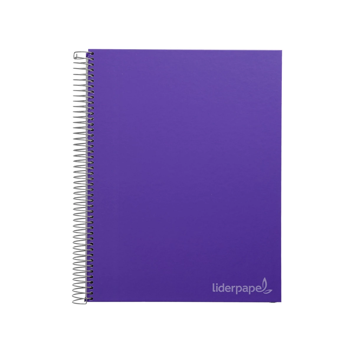 Galery – Caderno espiral liderpapel din a4 jolly capa forrada 140 f 75 gr quadricula 5mm 5 bandas de cores 4 furos cor lilas0