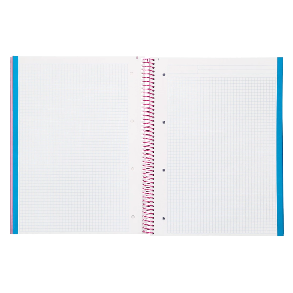 Galery – Caderno espiral liderpapel din a4 jolly capa forrada 140 f 75 gr quadricula 5mm 5 bandas de cores 4 furos cor rosa0