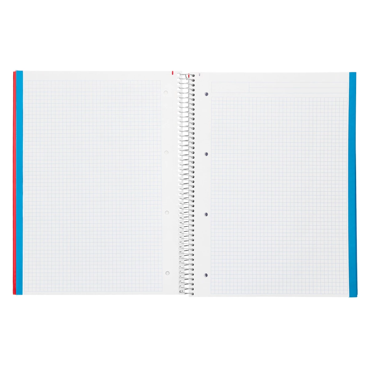 Galery – Caderno espiral liderpapel din a4 jolly capa dura 140 f 75 gr quadricula 5mm 5 bandas de cores 4 furos cores sortidas0