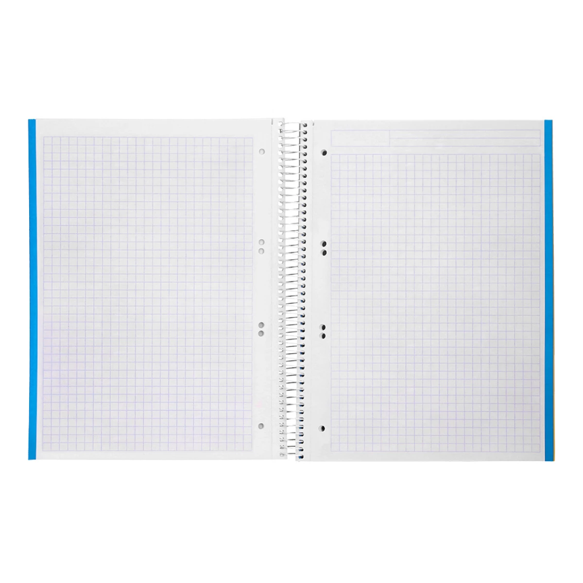 Galery – Caderno espiral liderpapel din a5 jolly capa dura 140 f 75 gr quadricula 5mm 5 bandas de cores 6 furos cores sortidas0