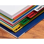 Galery – Separador liderpapel em plastico conjunto de 6 separadores folio 16 furos0