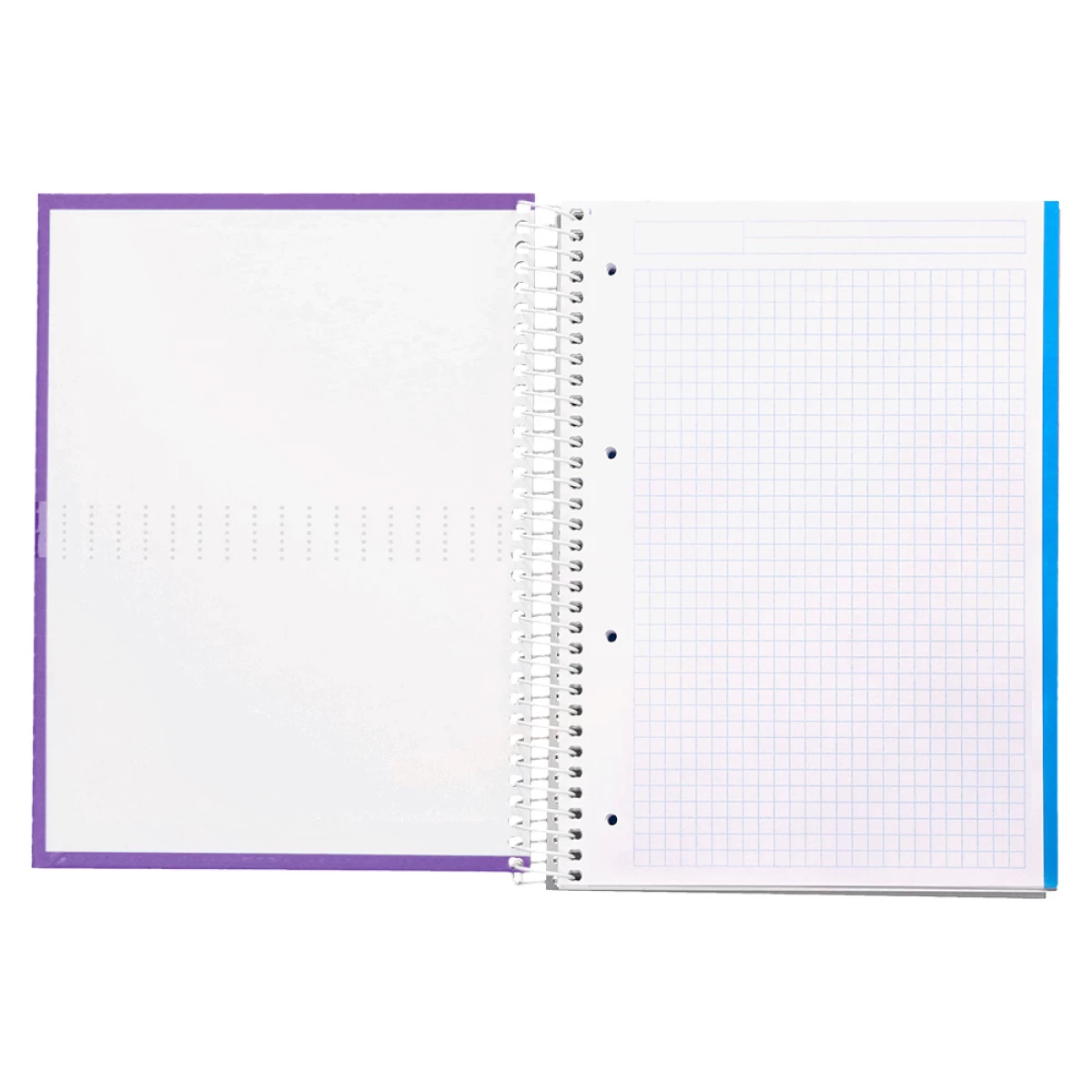 Galery – Caderno espiral liderpapel din a4 crafty capa forrada 120 f 90 gr quadricula 5mm 5 bandas de cores 4 furos cor violeta0