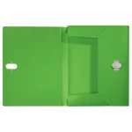 Galery – Leitz 46230055 caixa de arquivo 250 folhas Verde Polipropileno (PP)0