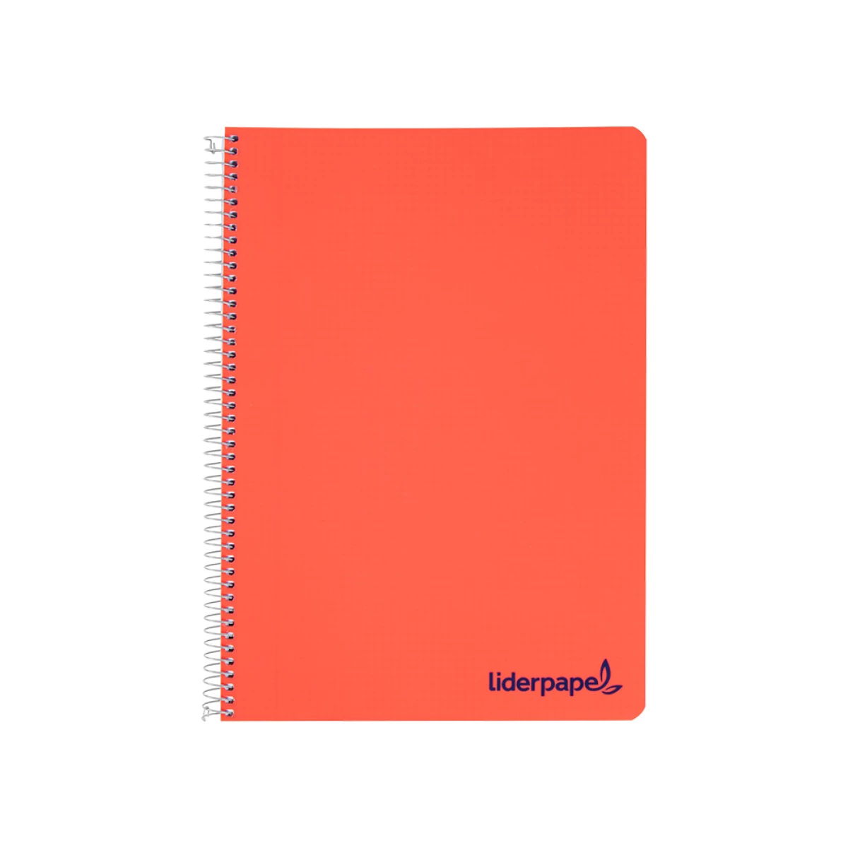 Galery – Caderno espiral liderpapel din a4 wonder capa plastico 80 f 90 gr liso cores sortidas0