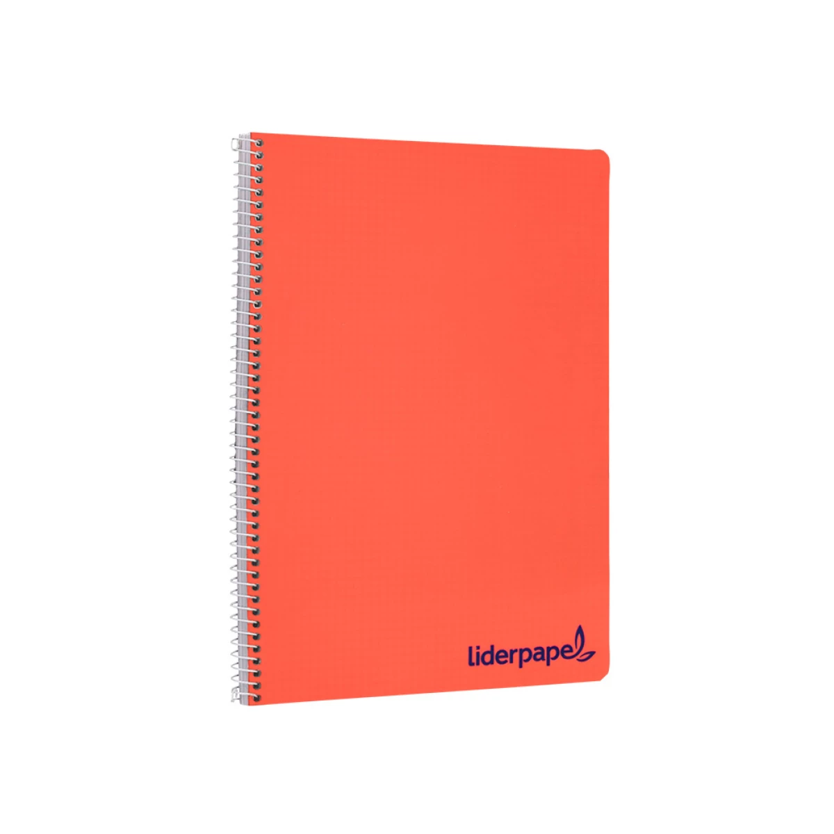 Galery – Caderno espiral liderpapel din a4 wonder capa plastico 80 f 90 gr liso cores sortidas0