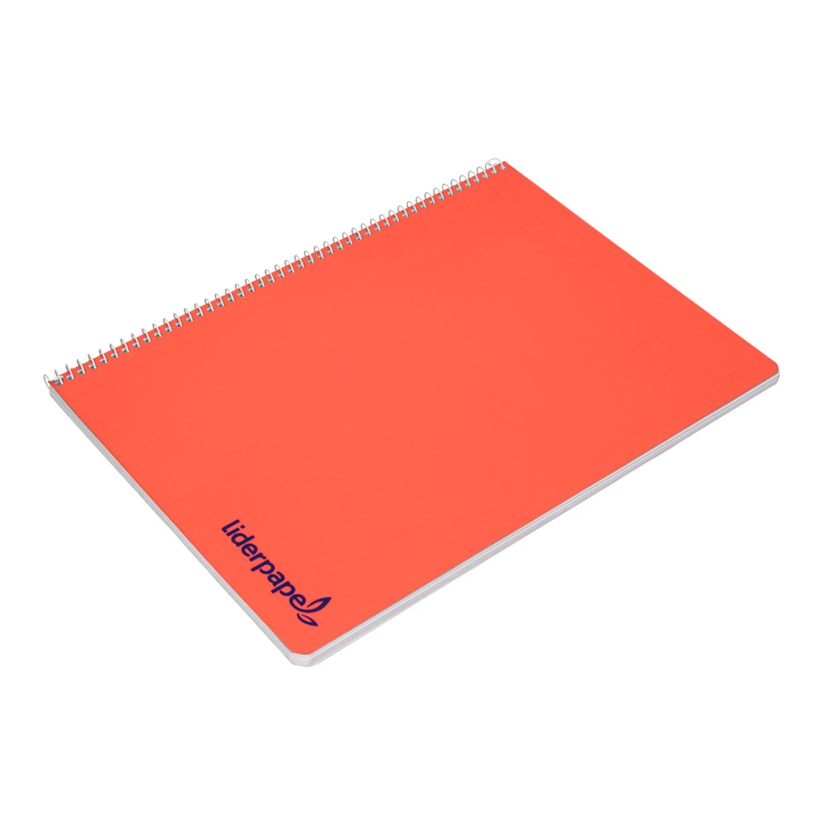 Galery – Caderno espiral liderpapel din a4 wonder capa plastico 80 f 90 gr liso cores sortidas0