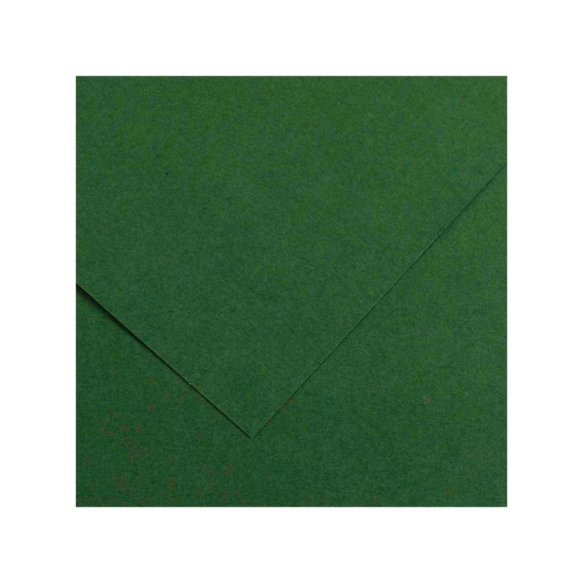 Galery – Cartolina guarro 50×65 cm 185 gr verde selva – 5 unidades0