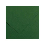 Galery – Cartolina guarro 50×65 cm 185 gr verde selva – 5 unidades0