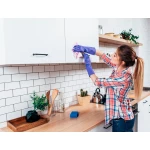 Galery – Detergente desemfetante sanytol para cozinhas com pistola pulverizadora frasco de 750 ml0