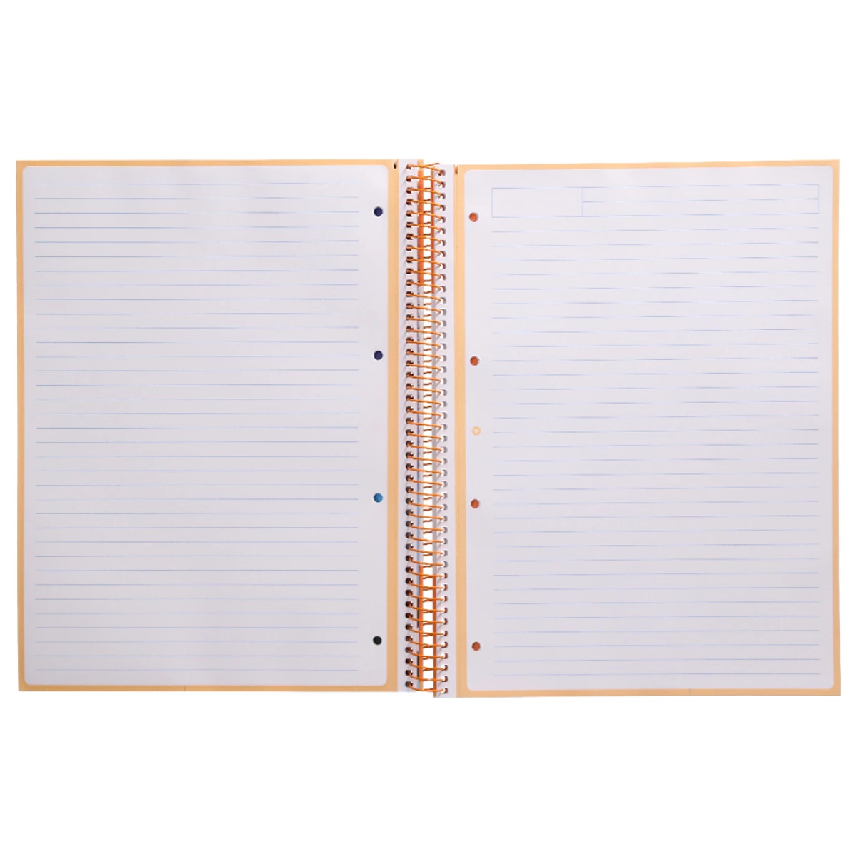 Galery – Caderno espiral liderpapel din a4 antartik capa forrada 80f 90 gr pautado 1 banda 4 furos cor amarelo claro0