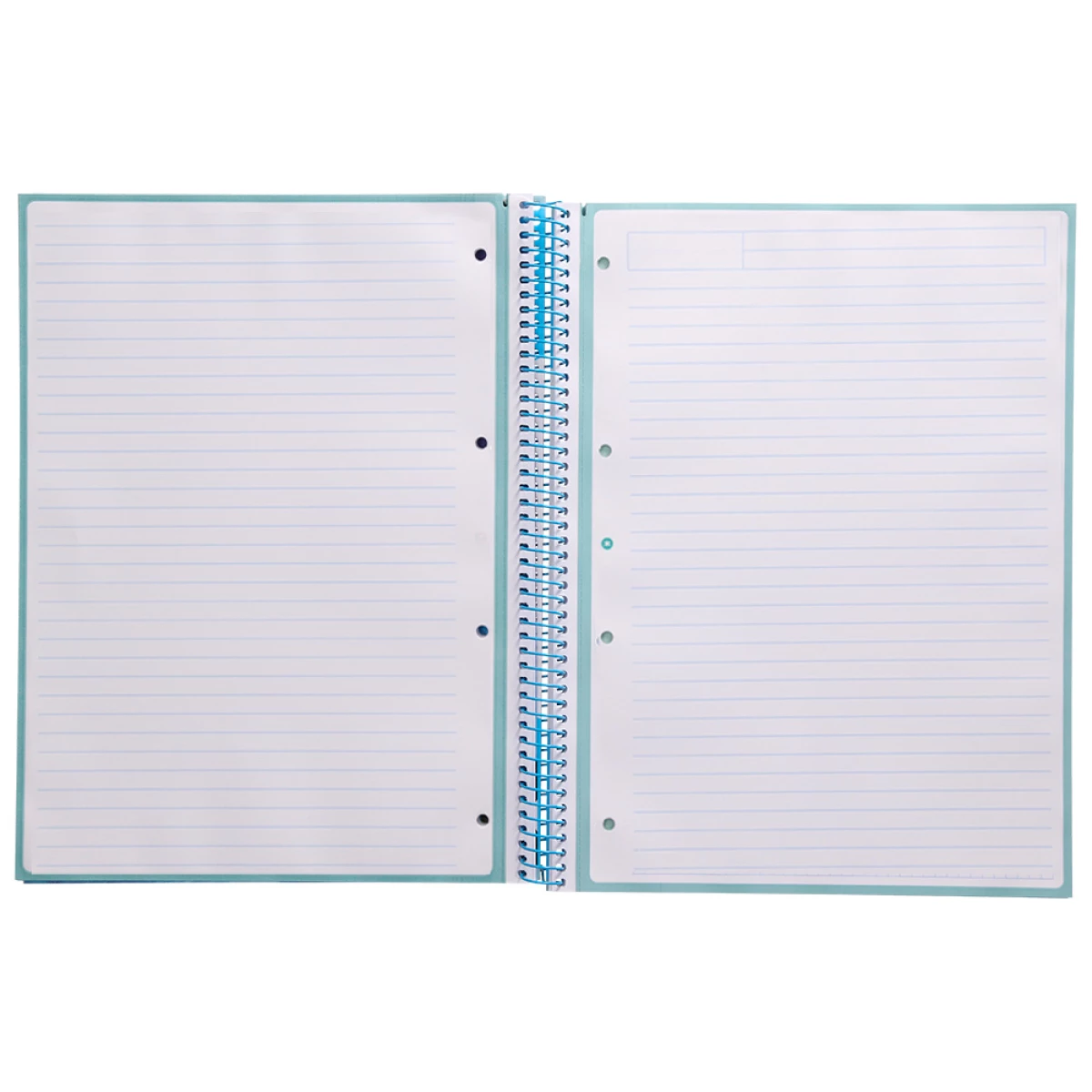 Galery – Caderno espiral liderpapel din a4 antartik capa forrada 80f 90 gr pautado 1 banda 4 furos cor celeste0