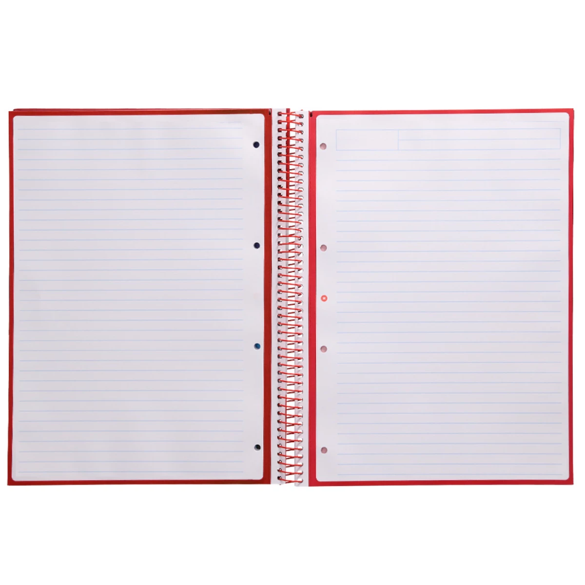 Galery – Caderno espiral liderpapel din a4 antartik capa forrada 80f 90 gr pautado 1 banda 4 furos cor framboesa0