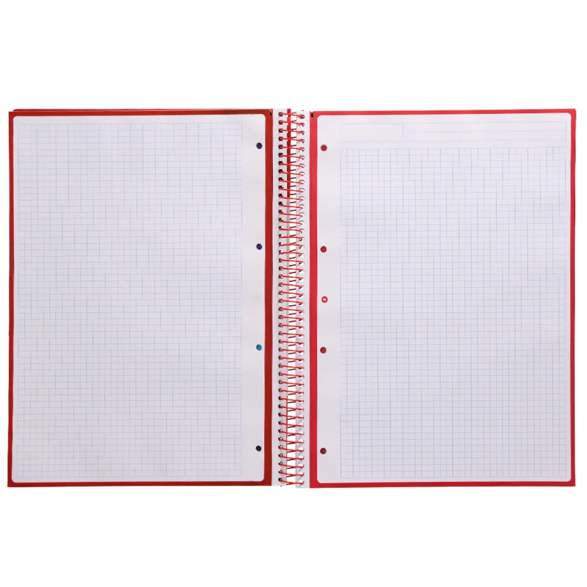 Galery – Caderno espiral liderpapel a4 micro antartik capa forrada 80 f 90 gr quadricula 5mm 1 banda 4 furos expositor0