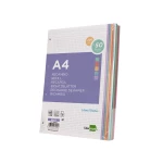 Galery – Recarga liderpapel a4 200+50 folhas 90 gr quadricula 5 mm 4 furos bandas de 5 cores0