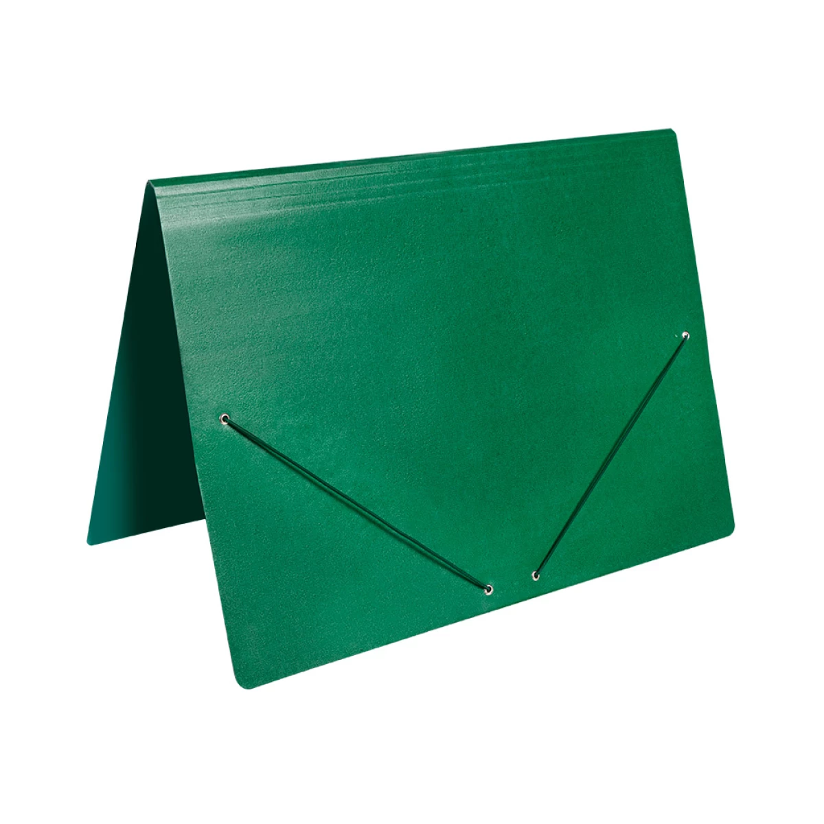 Galery – Pasta de elasticos liderpapel din a3 verde0