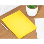 Galery – Classificador liderpapel em cartolina de 180 grs, folio, amarelo intenso – 50 unidades0