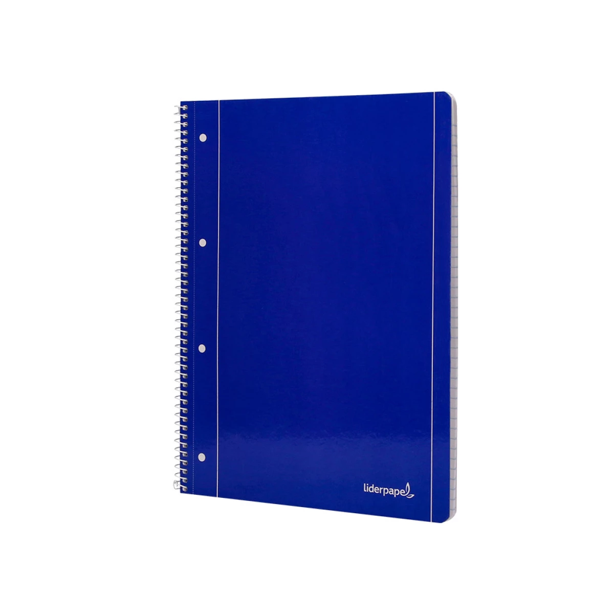 Galery – Caderno espiral liderpapel capa azul 80 f din a4 pautado0