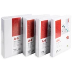 Galery – Pasta canguru liderpapel din a4 2 aneis de 25 mm0