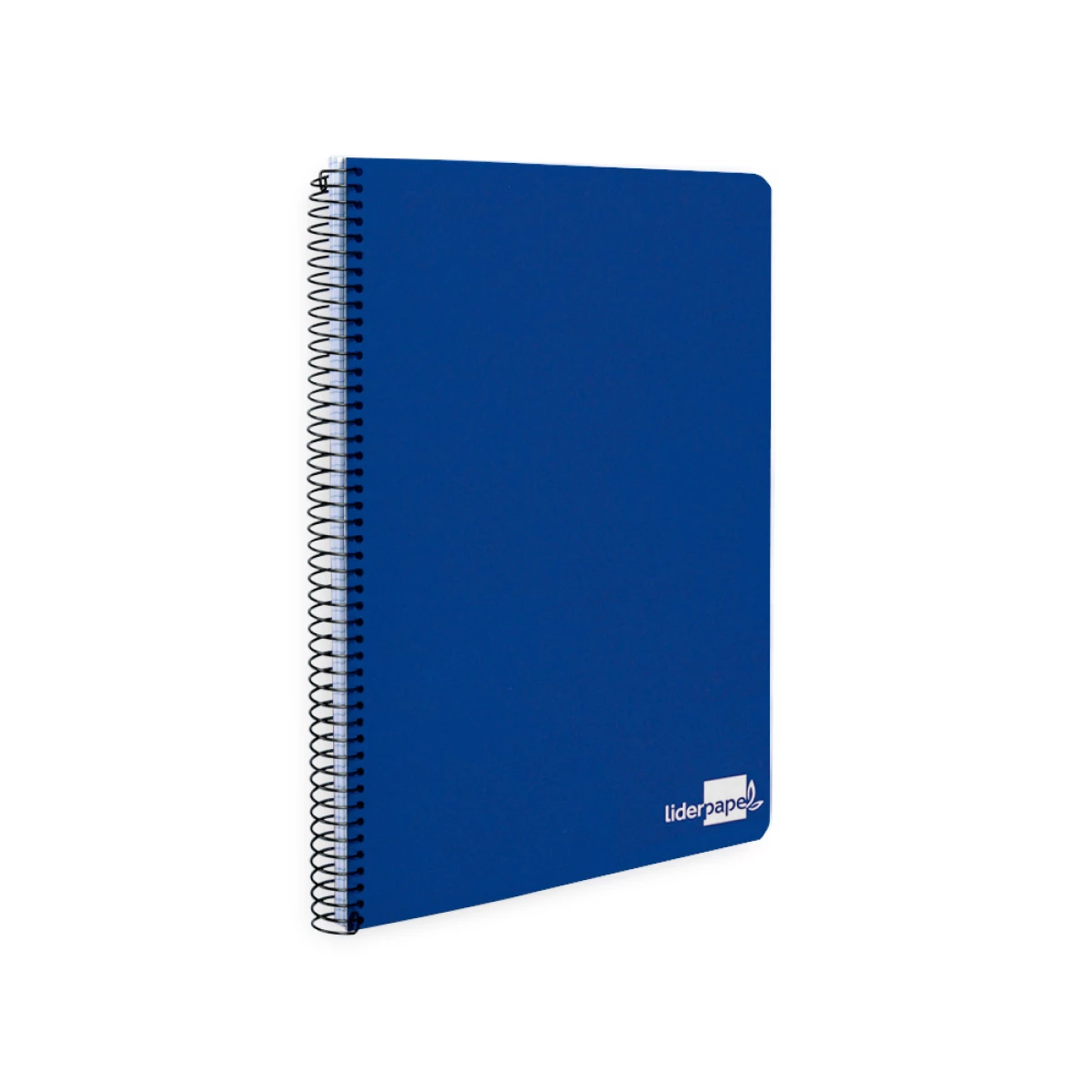 Galery – Caderno espiral liderpapel capa dura 80 fls.5 cores sortidas quarto quadriculado 4 mm 60 gr0