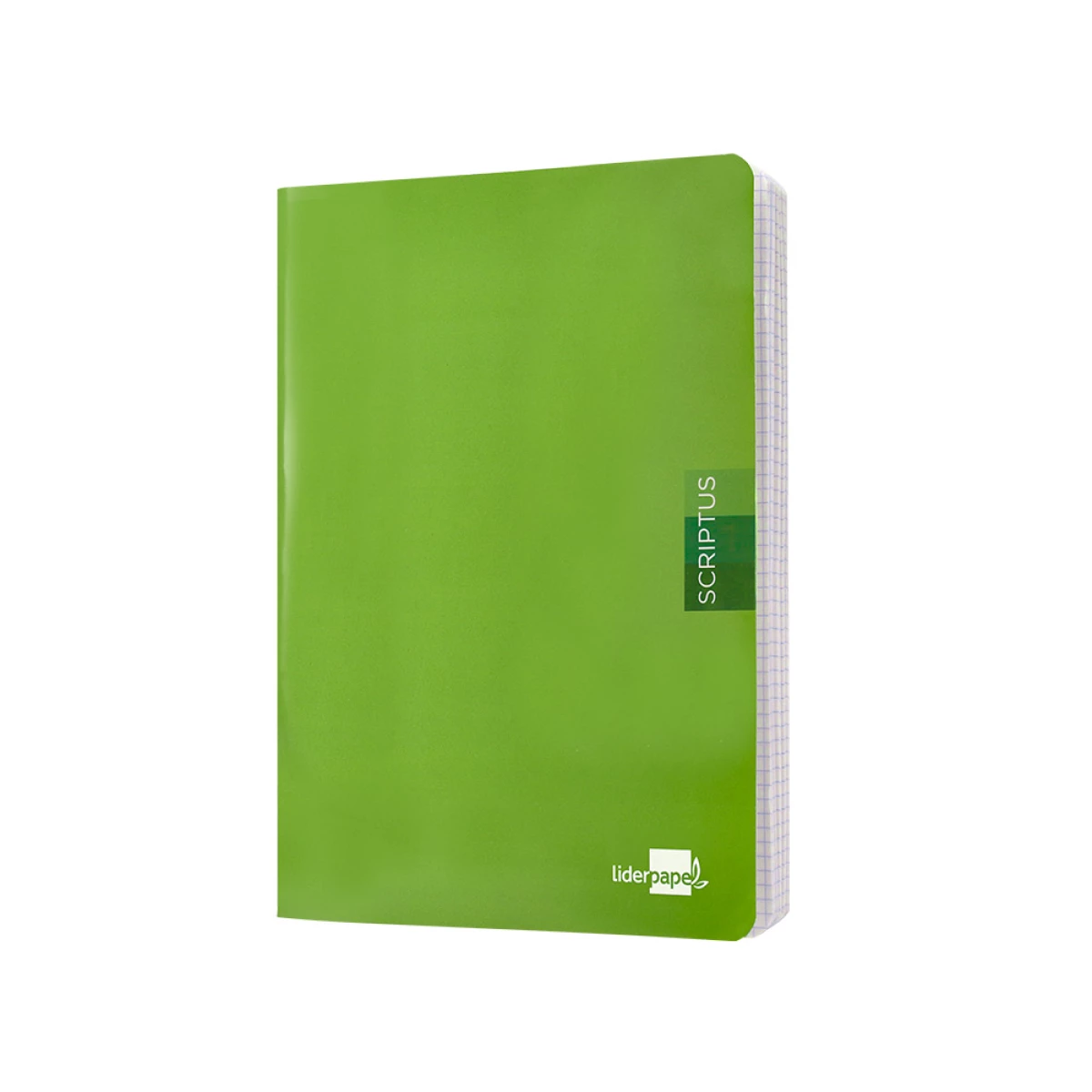 Galery – Caderno escolar liderpapel scriptus 48 f din a5 quadriculado 4 mm capa verde papel 90 gr – 5 unidades0