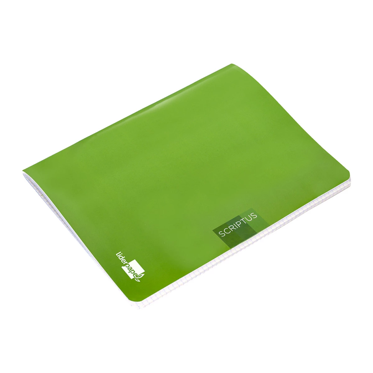 Galery – Caderno escolar liderpapel scriptus 48 f din a5 quadriculado 4 mm capa verde papel 90 gr – 5 unidades0