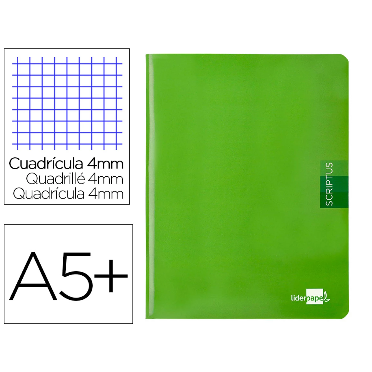 Thumbnail-Caderno escolar liderpapel scriptus 48 f din a5 quadriculado 4 mm capa verde papel 90 gr – 5 unidades