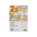 Galery – Recambio liderpapel folio 100 h 4 taladros 70 gr cuadriculado pautado 2,5 mm con margen0