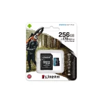 Galery – Kingston Technology Canvas Go! Plus 256 GB MicroSD UHS-I Classe 100