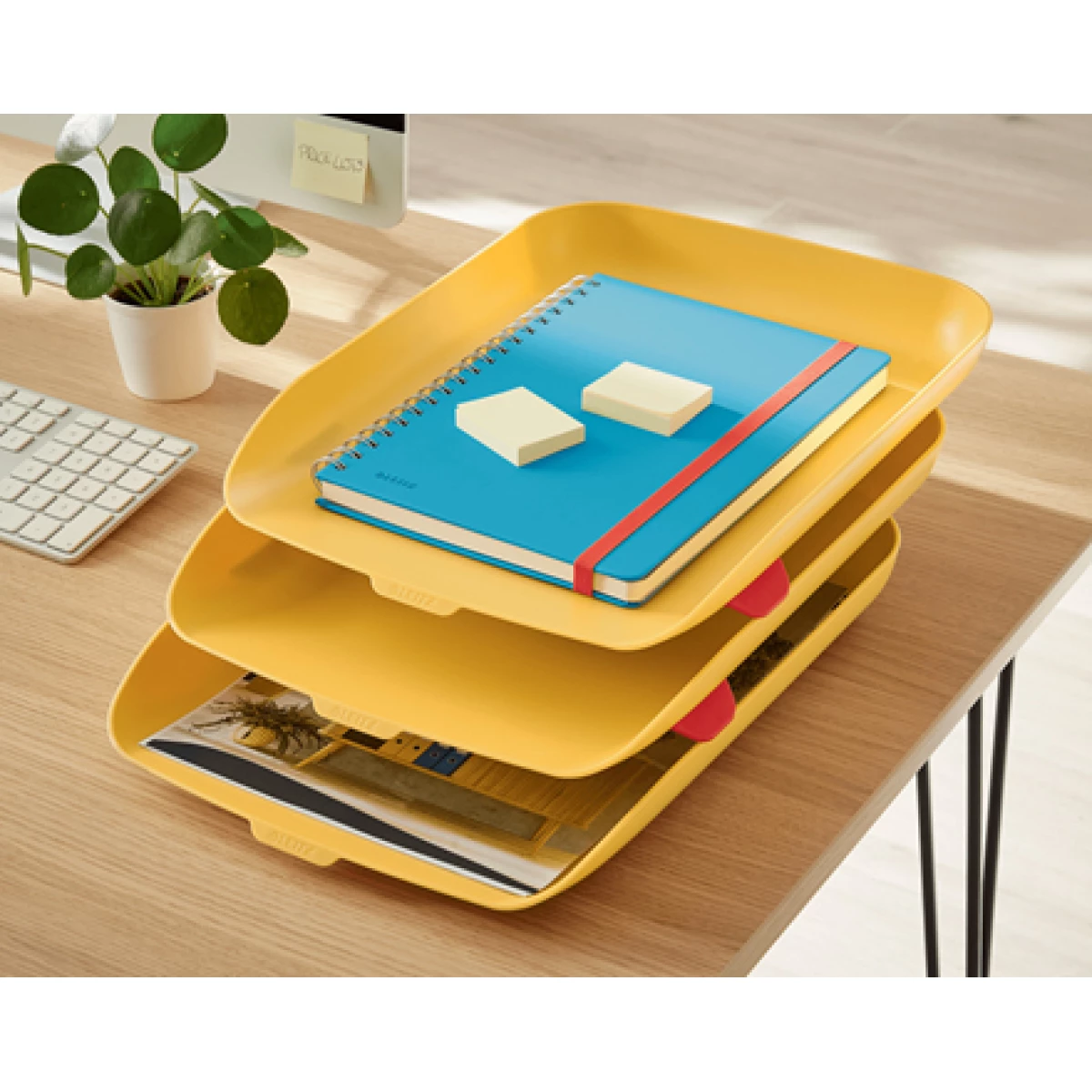 Galery – Leitz 53582019 bandeja de papel/organizador Poliestireno (PS) Amarelo0