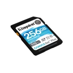 Galery – Kingston Technology Canvas Go! Plus 256 GB SD UHS-I Classe 100