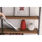 Galery – MINI ASPIRADOR HOOVER JAMES – HH710PPT 0110