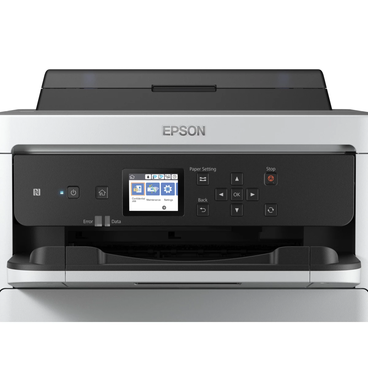 Galery – Epson T01C200 tinteiro 1 unidade(s) Original Rendimento alto (XL) Ciano0