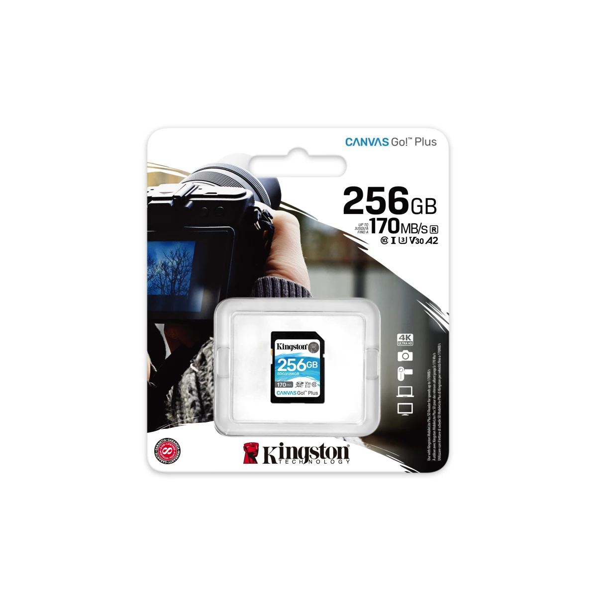 Galery – Kingston Technology Canvas Go! Plus 256 GB SD UHS-I Classe 100