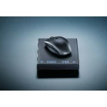 Galery – Gaming Mouse Orochi V2 0