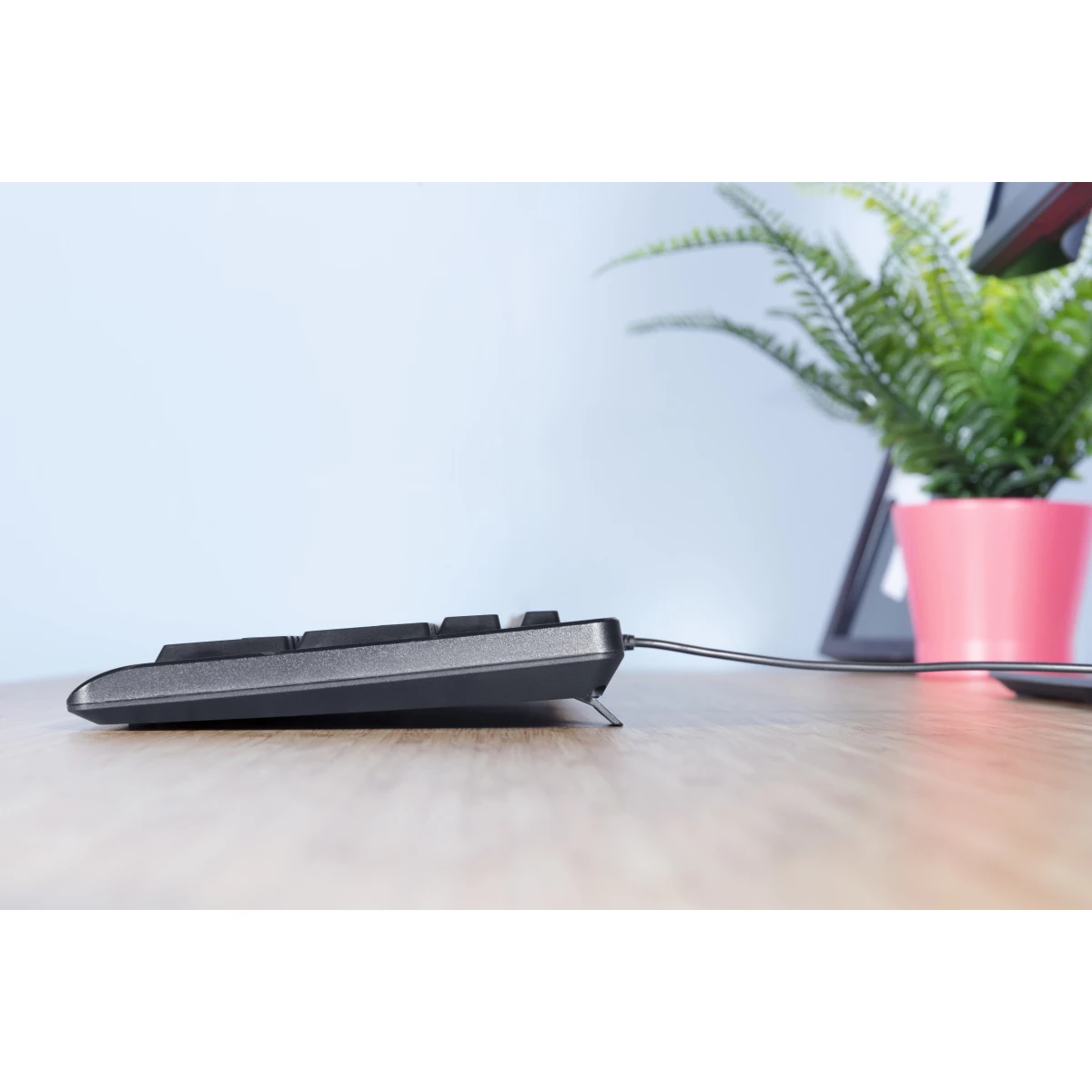 Galery – Trust Primo teclado USB Português Preto0